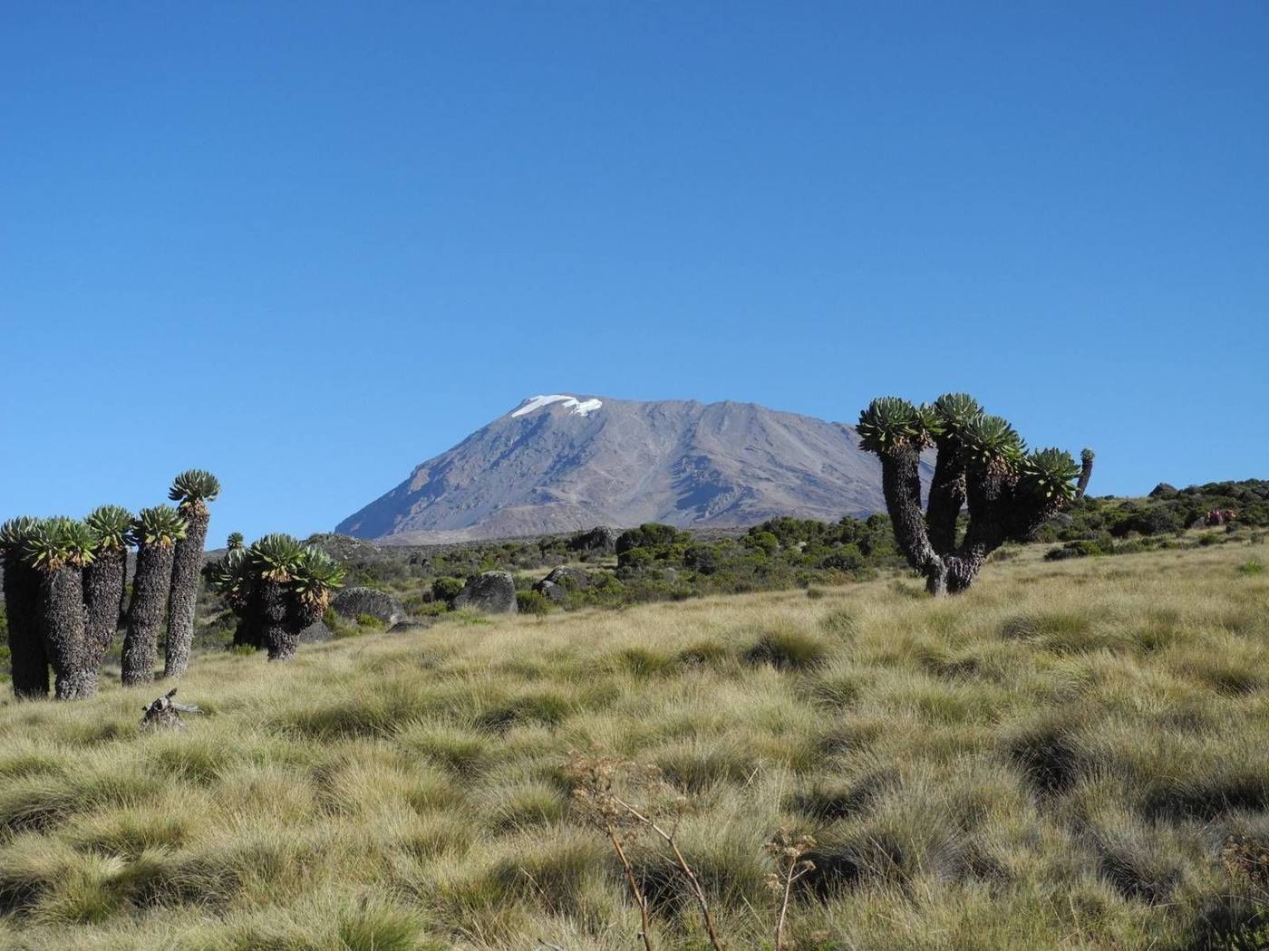Kilimanjaro